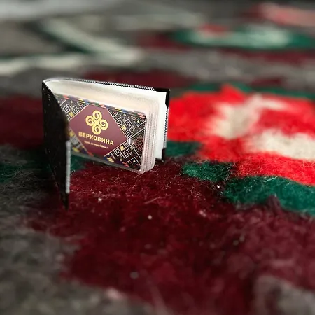 Lejlighed Welkome Verkhovyna