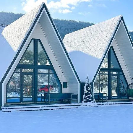 Welkome 베르코비나