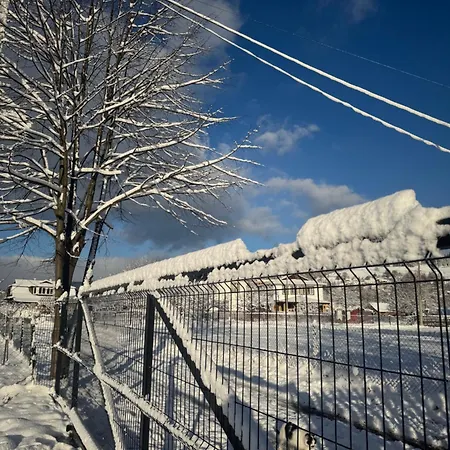 Welkome 아파트 베르코비나