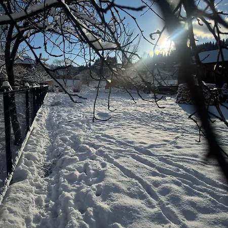 Lejlighed Welkome Verkhovyna