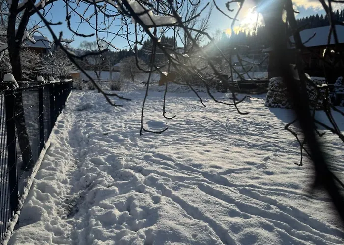 Apartment Welkome Verkhovyna