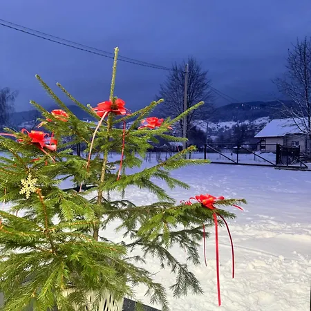 Welkome Verkhovyna