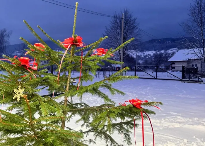 Welkome Verkhovyna